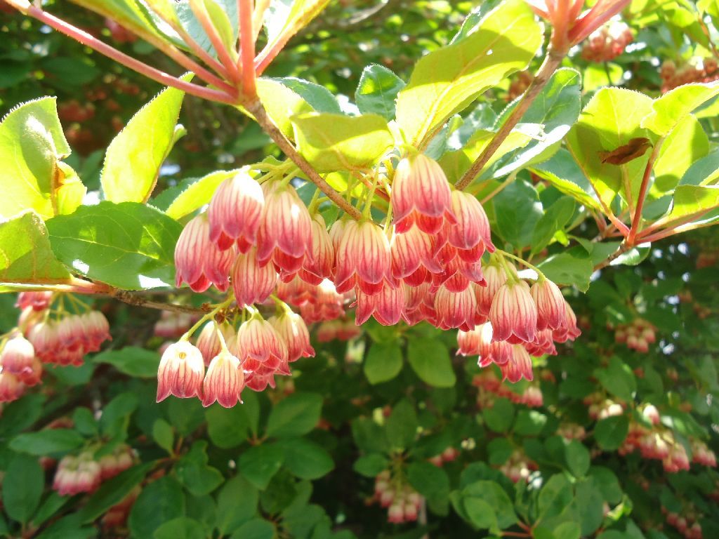b0248920_01292700.jpg