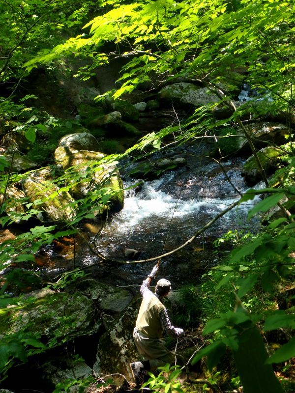 d0091323_12161472.jpg