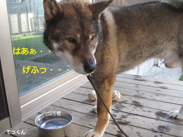f0143123_09271067.jpg