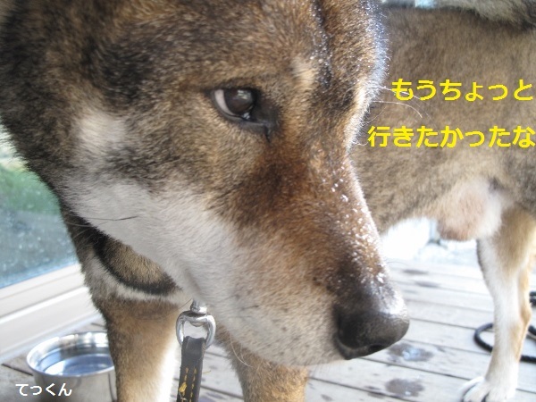 f0143123_09272305.jpg