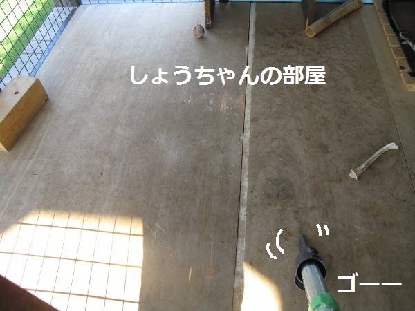 f0143123_13243596.jpg