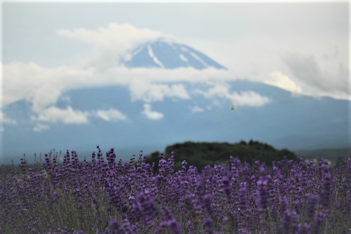 f0354923_22521981.jpg