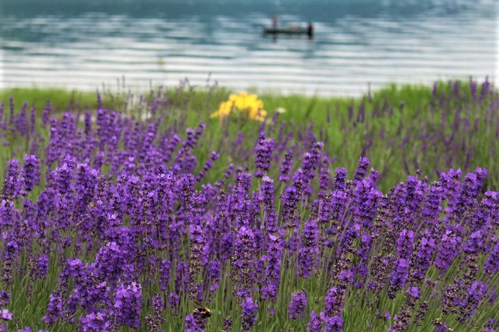 f0354923_23073207.jpg