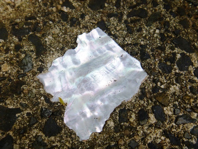 d0137326_23224925.jpg
