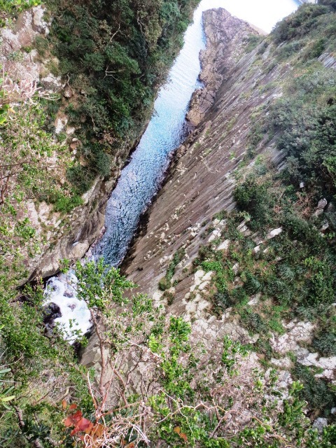d0137326_23245295.jpg