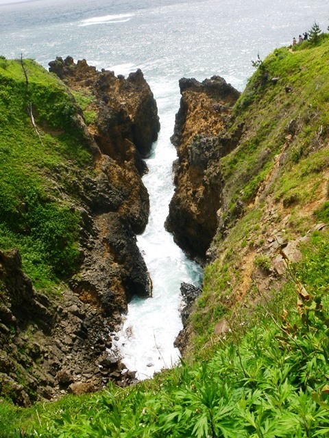 d0137326_23245942.jpg