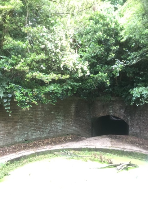c0103830_14415820.jpg