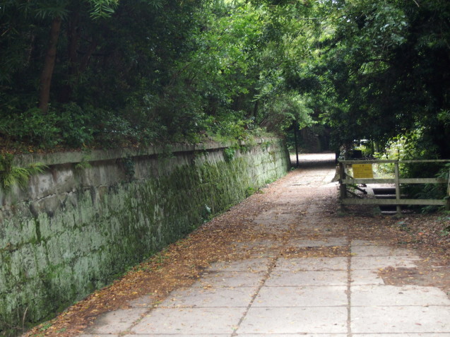 c0103830_14561410.jpg