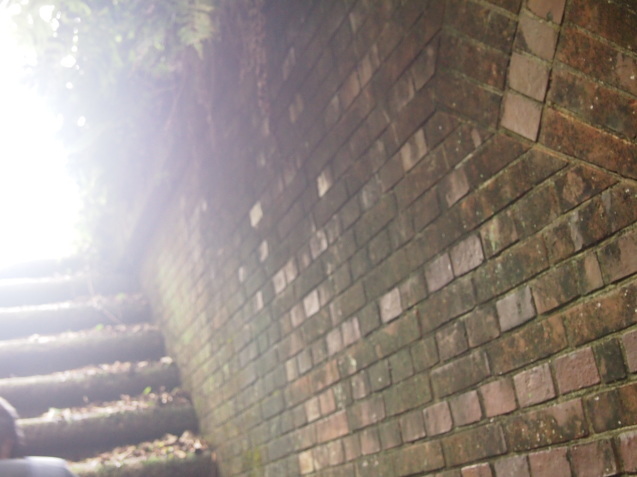 c0103830_14563715.jpg