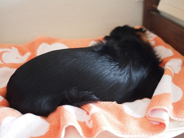 c0117831_16134162.jpg