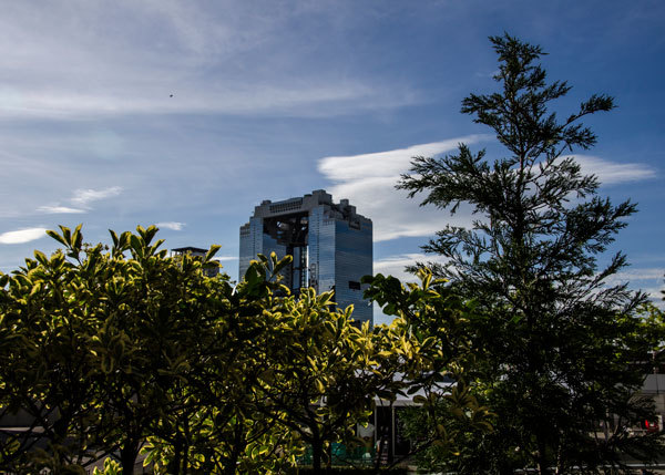 e0360431_10002019.jpg