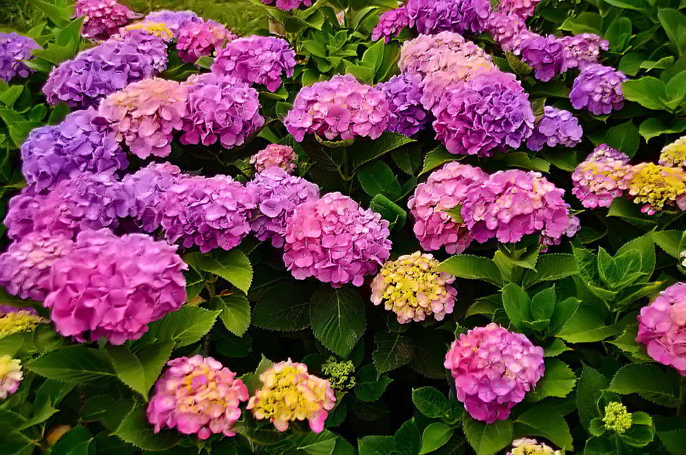 a0287533_21363592.jpg