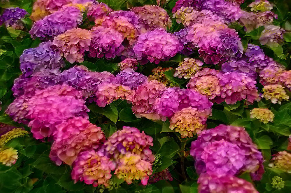 a0287533_21365179.jpg