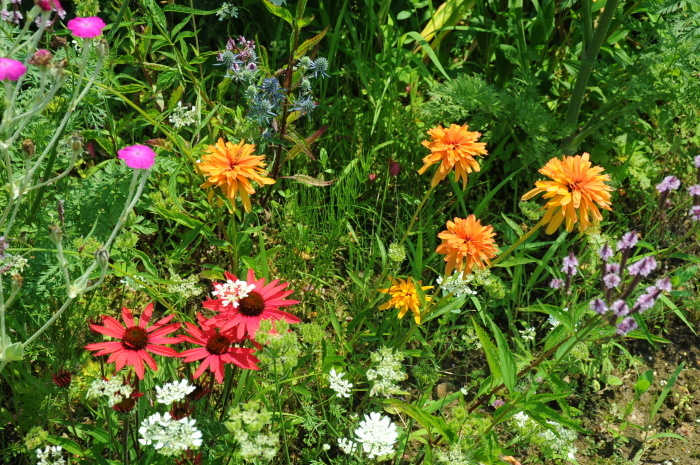 c0172234_23114210.jpg