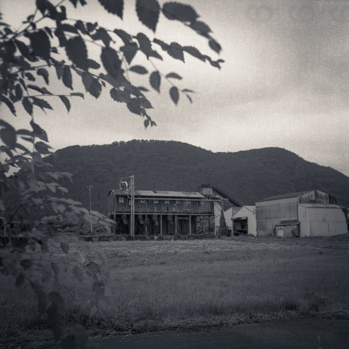f0265234_20290670.jpg