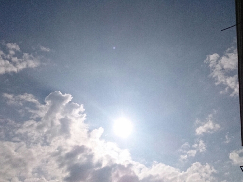 a0326636_08080220.jpg
