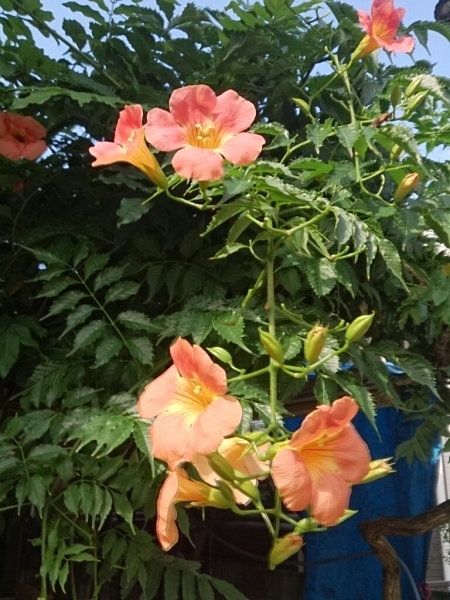 a0326636_08081165.jpg