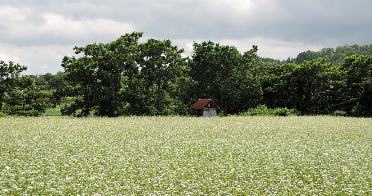 b0075140_22233413.jpg