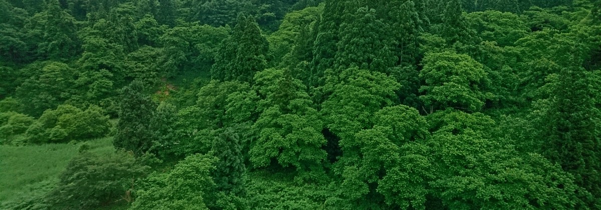 b0075140_22242938.jpg