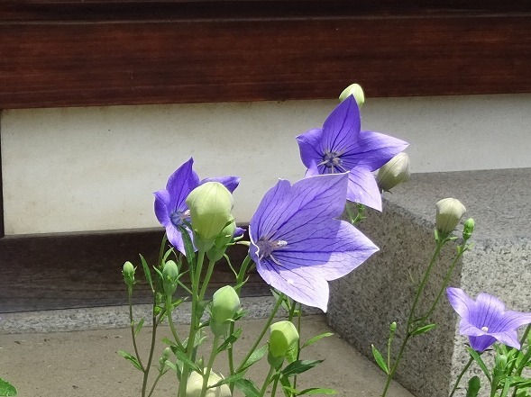b0299042_20522690.jpg