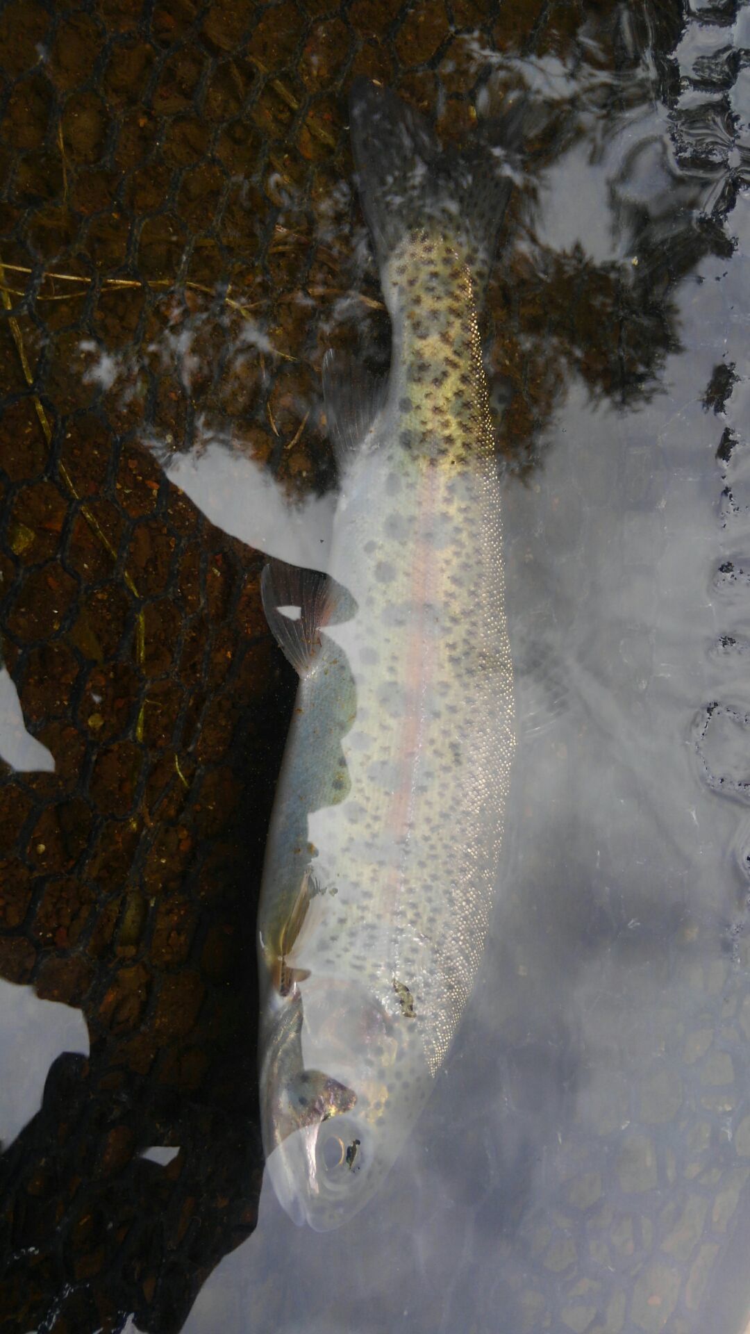 e0202845_18594969.jpg