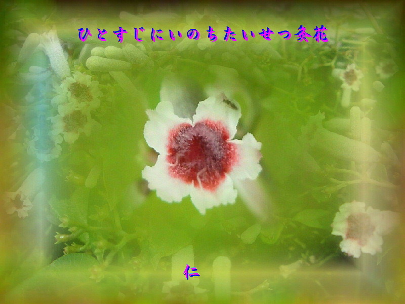 e0017651_10323380.jpg