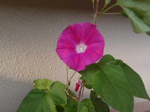 c0354352_22331856.jpg