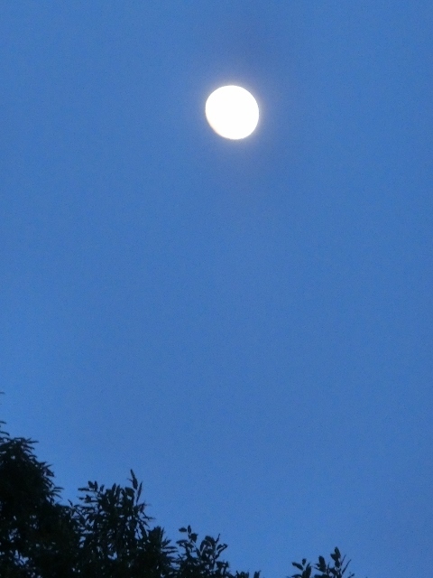 c0328559_20272185.jpg