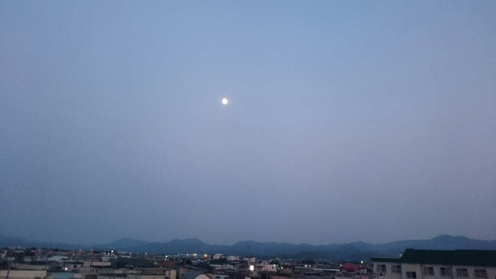 d0337560_19445699.jpg
