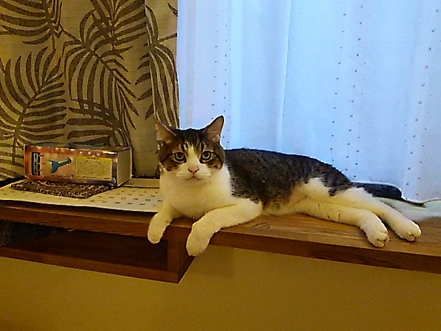 c0050562_12153671.jpg