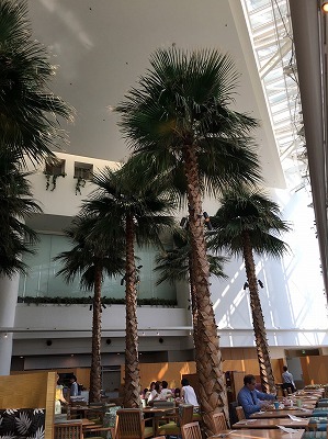 b0145863_00012095.jpg