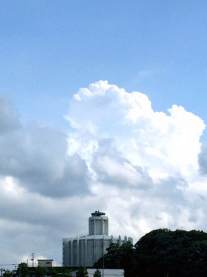 c0050264_00083993.jpg