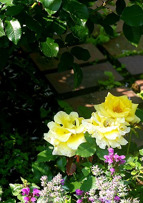 d0244364_9425288.jpg