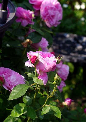d0244364_9432439.jpg
