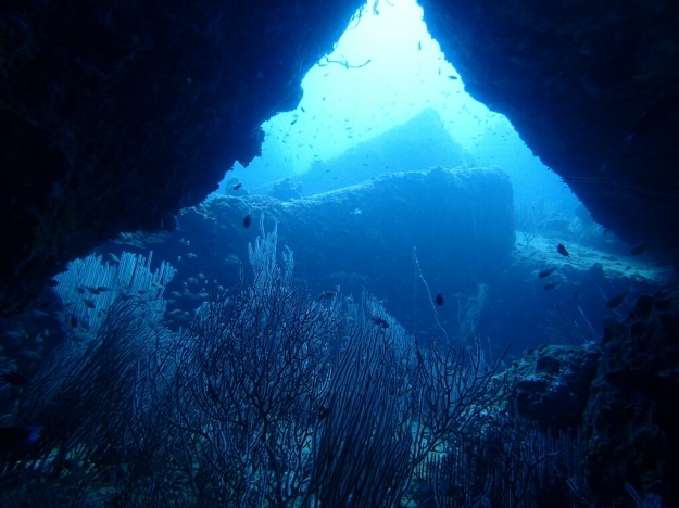 c0039073_17322949.jpg