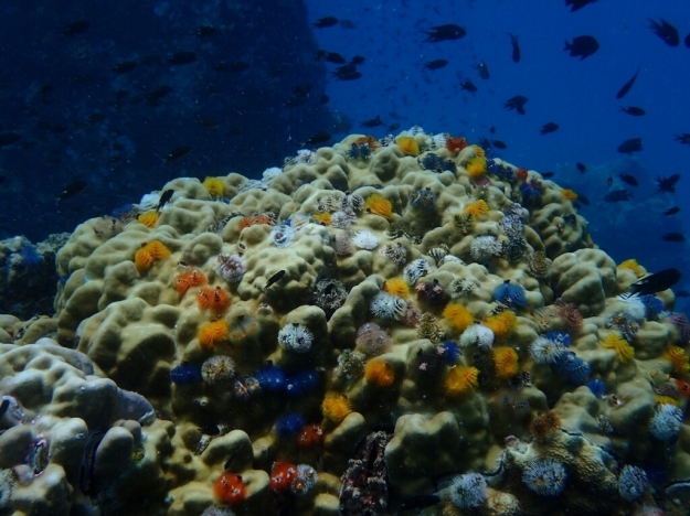 c0039073_17325034.jpg
