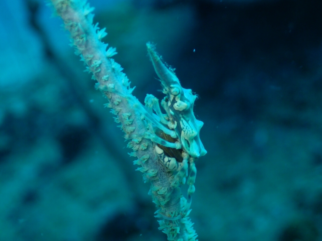 c0039073_17330434.jpg