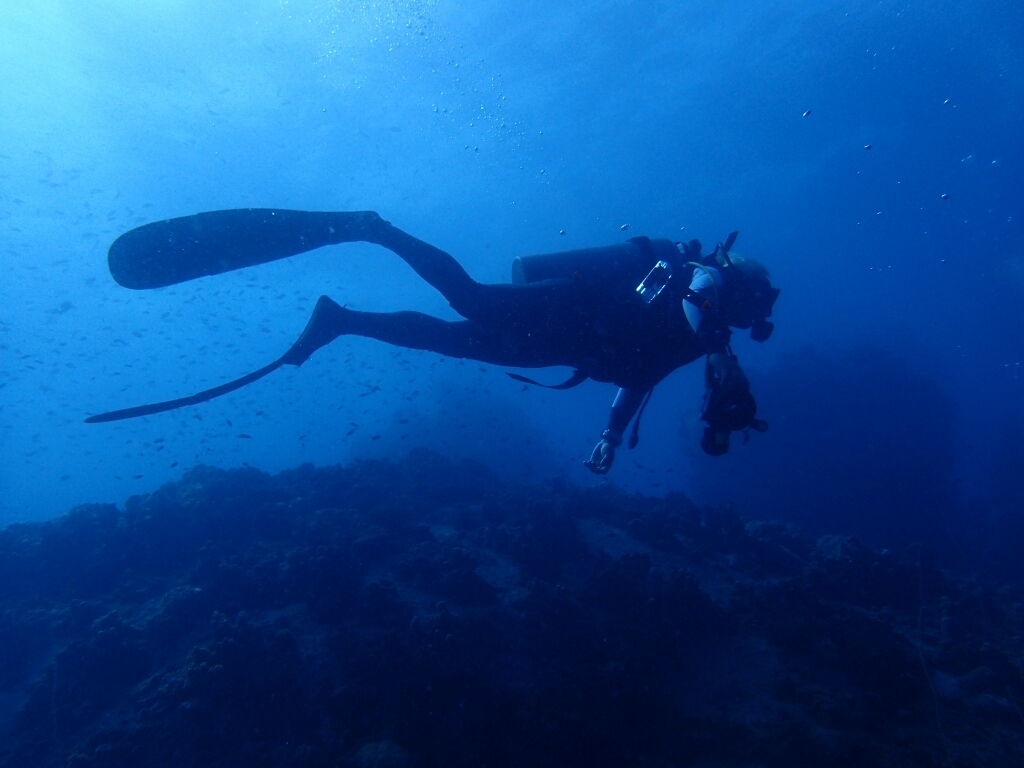 c0039073_17331835.jpg