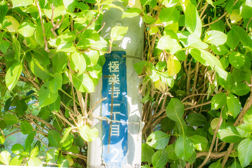 c0108673_22394820.jpg