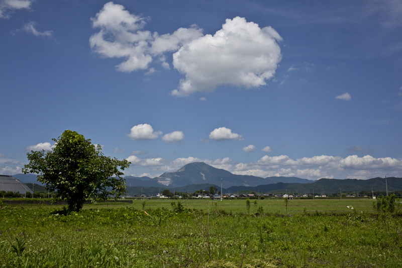 c0131875_21154126.jpg