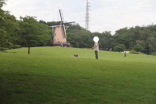 e0114977_19494049.jpg