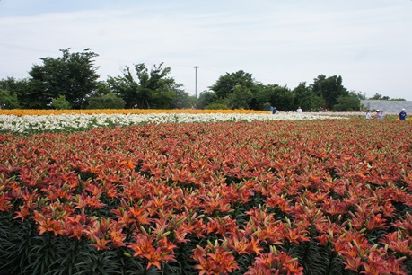 c0163878_9395027.jpg