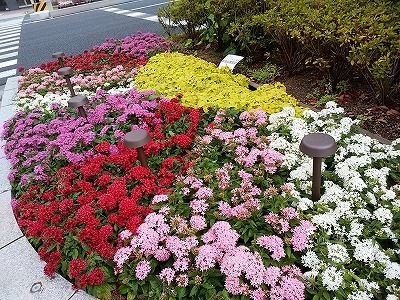 f0215580_11065297.jpg
