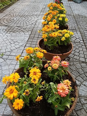 f0215580_11065949.jpg