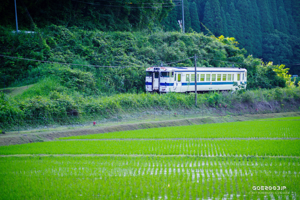 d0107811_10271669.jpg
