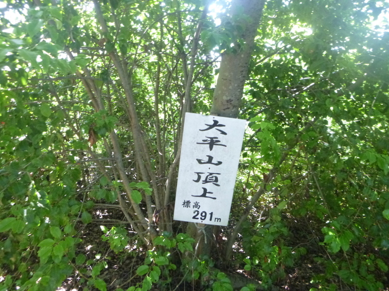 d0170615_22291336.jpg