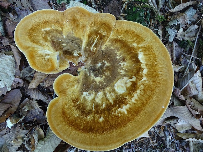 f0360815_16002642.jpg