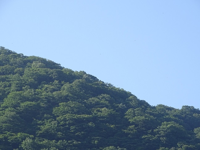 f0360815_16002699.jpg