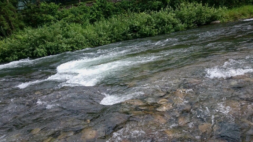c0221718_19442501.jpg