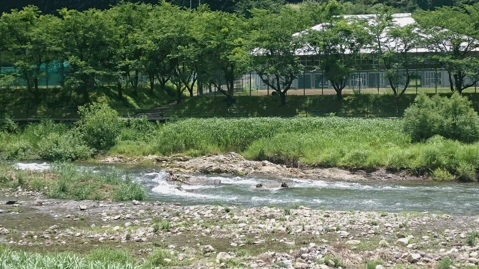 c0221718_19443785.jpg